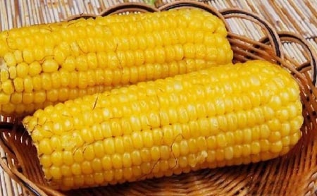 玉米.jpg
